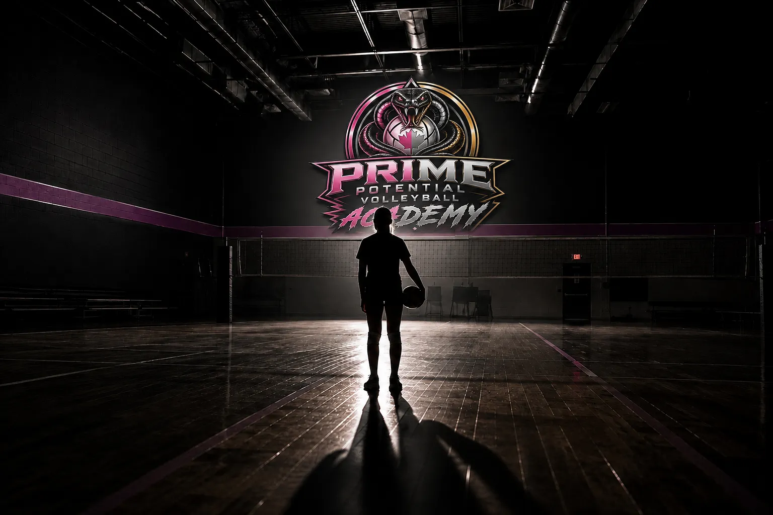Silhouette of an athlete holding a volleyball, standing alone on the court beneath the Prime Potential Volleyball Academy crest